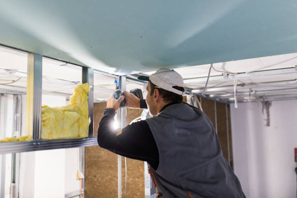 Best Geographic-Specific Insulation Services in Belgrade, MT